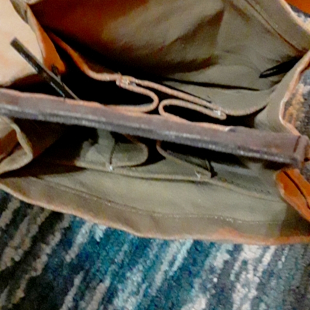 Carrier - Picture 4 of 5